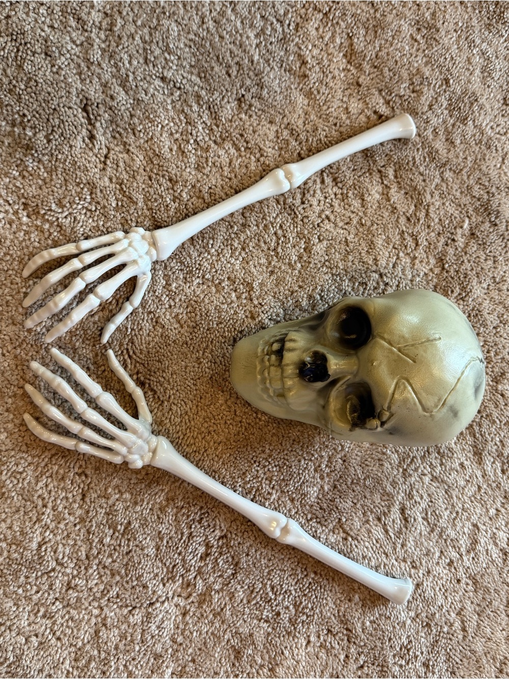 Decorative Halloween Skull and Skeleton Hands - Pale Green Skull, White Bones